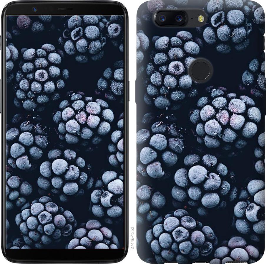 

Чохол на OnePlus 5T морозна ожина