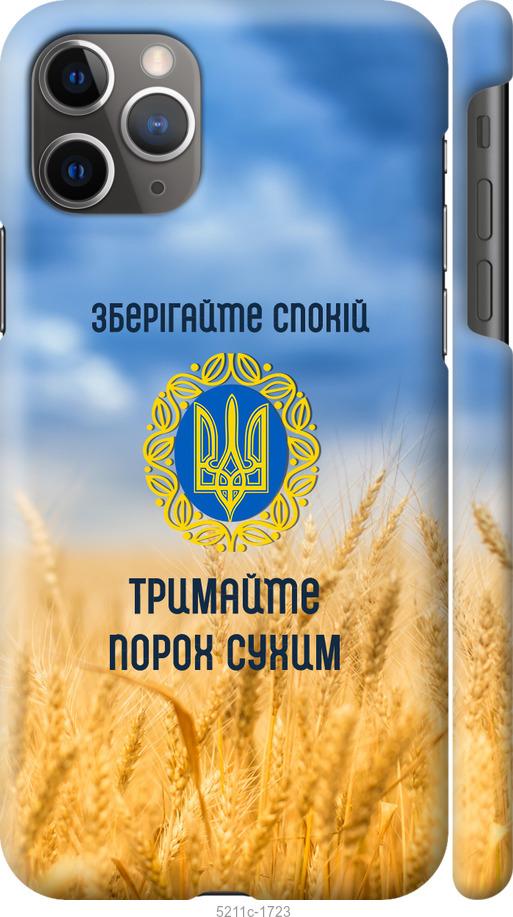 Чехол на iPhone 11 Pro Max Спокойствие v2