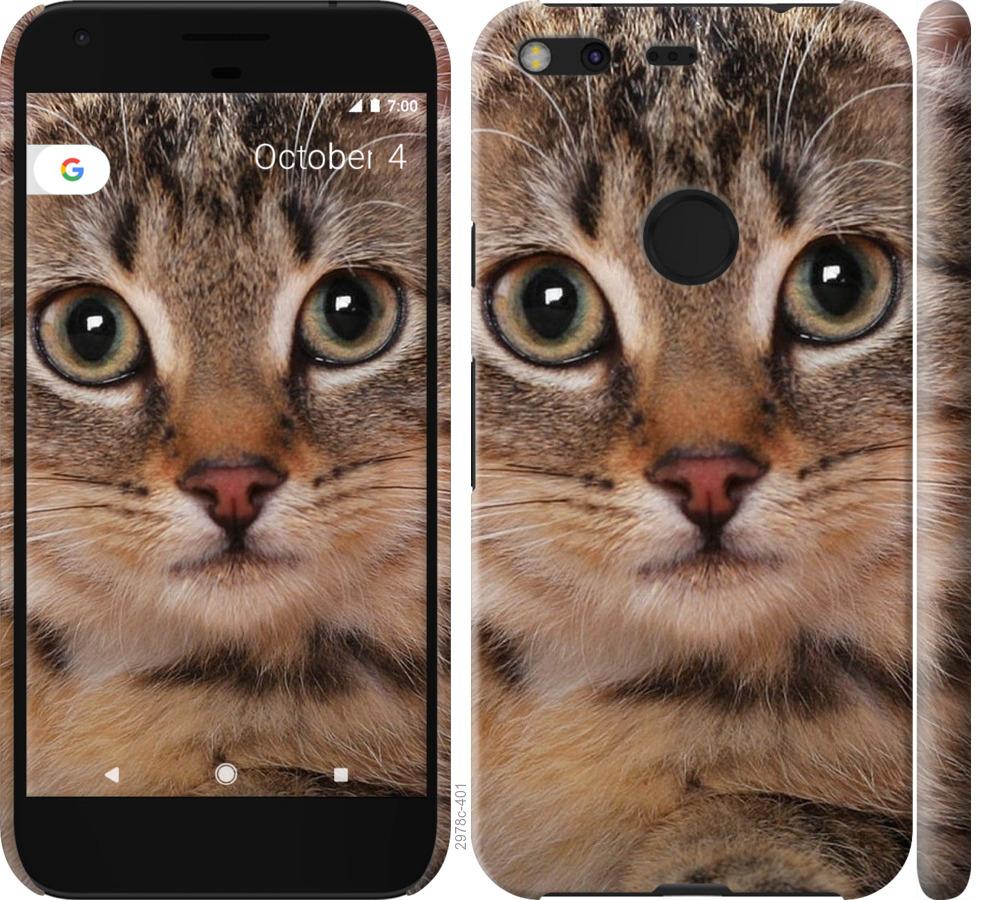 

Чехол на Google Pixel XL Полосатый котик
