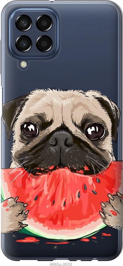 

Чехол на Samsung Galaxy M33 M336B Мопс и арбуз