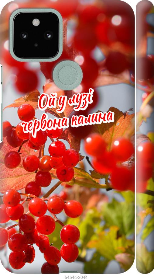 

Чехол на Google Pixel 5 Калина
