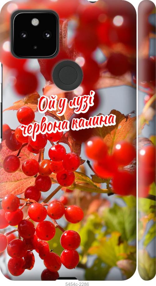 

Чехол на Google Pixel 5A Калина