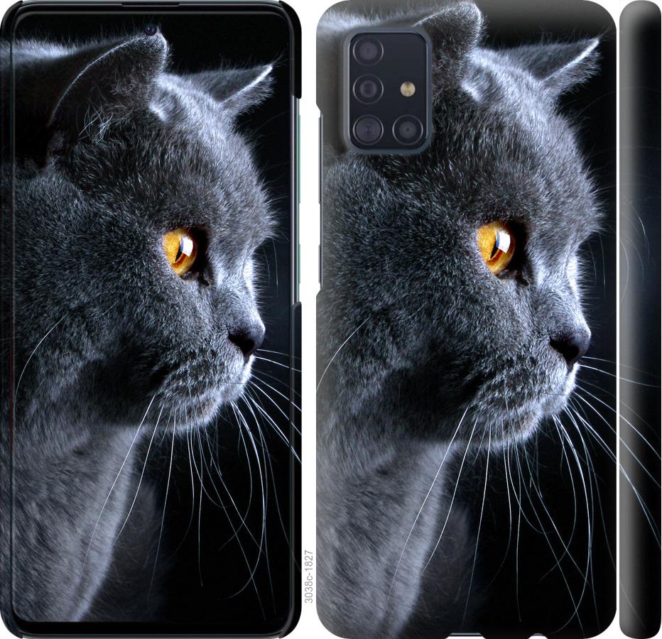 

Чохол на Samsung Galaxy S20 Plus Гарний кіт