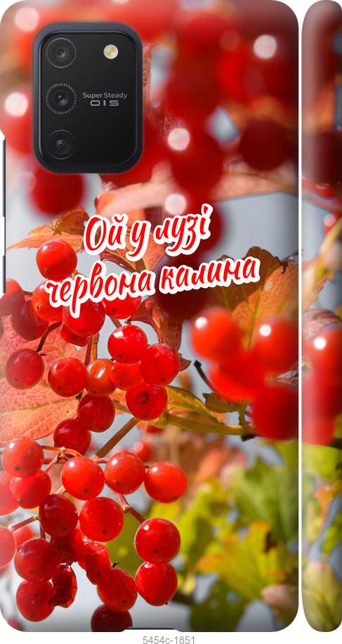 

Чехол на Samsung Galaxy S10 Lite 2020 Калина