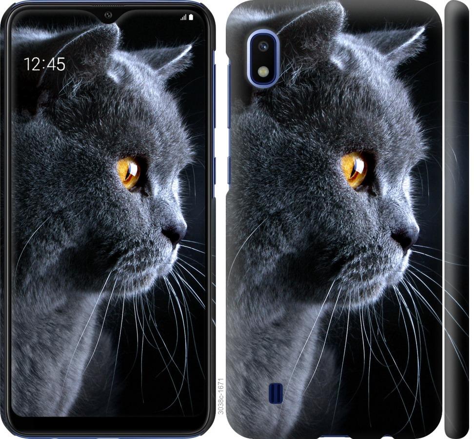 

Чохол на Samsung Galaxy A10 2019 A105F Гарний кіт