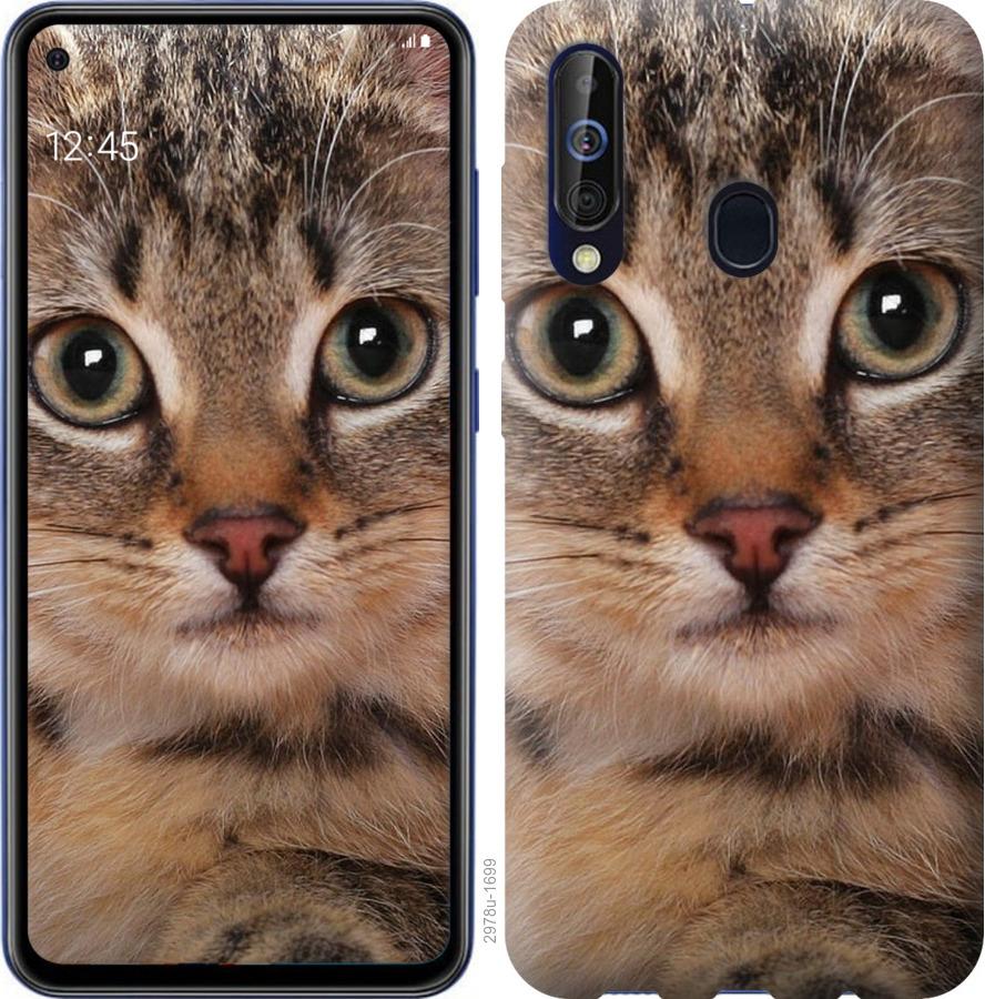 

Чехол на Samsung Galaxy A60 2019 A606F Полосатый котик