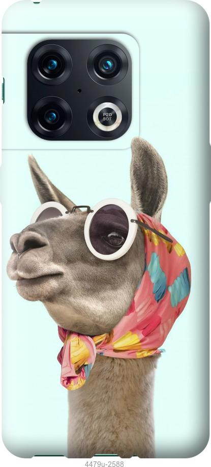 

Чохол на OnePlus 10 Pro Модна лама