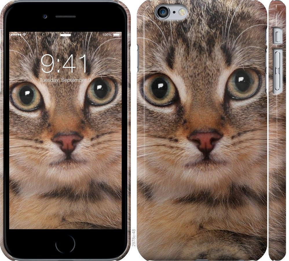 

Чехол на iPhone 6 Plus Полосатый котик