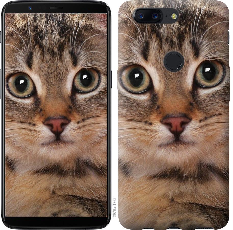 

Чехол на OnePlus 5T Полосатый котик