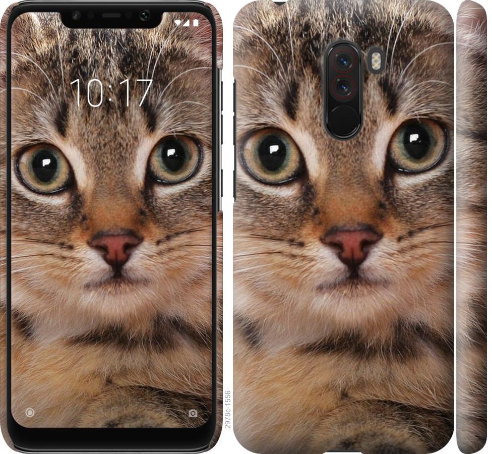 

Чехол на Xiaomi Pocophone F1 Полосатый котик
