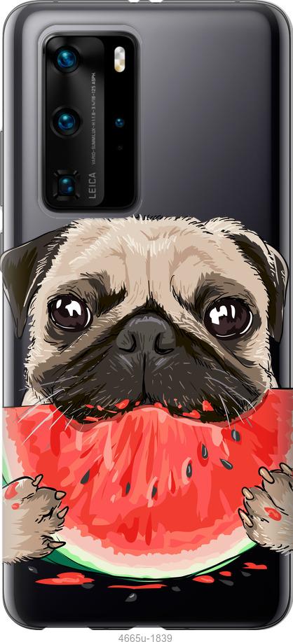 

Чехол на Huawei P40 Pro Мопс и арбуз