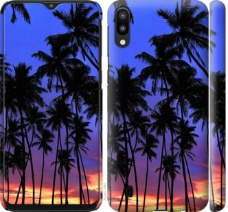 

Чехол на Samsung Galaxy M10 Пальмы