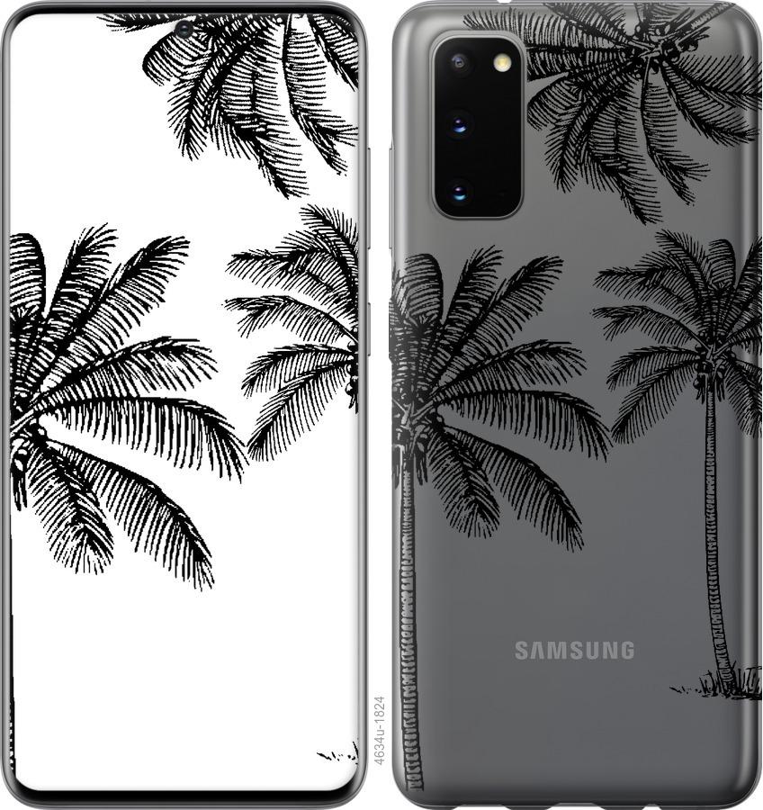 Чехол на Samsung Galaxy S20 Пальмы1