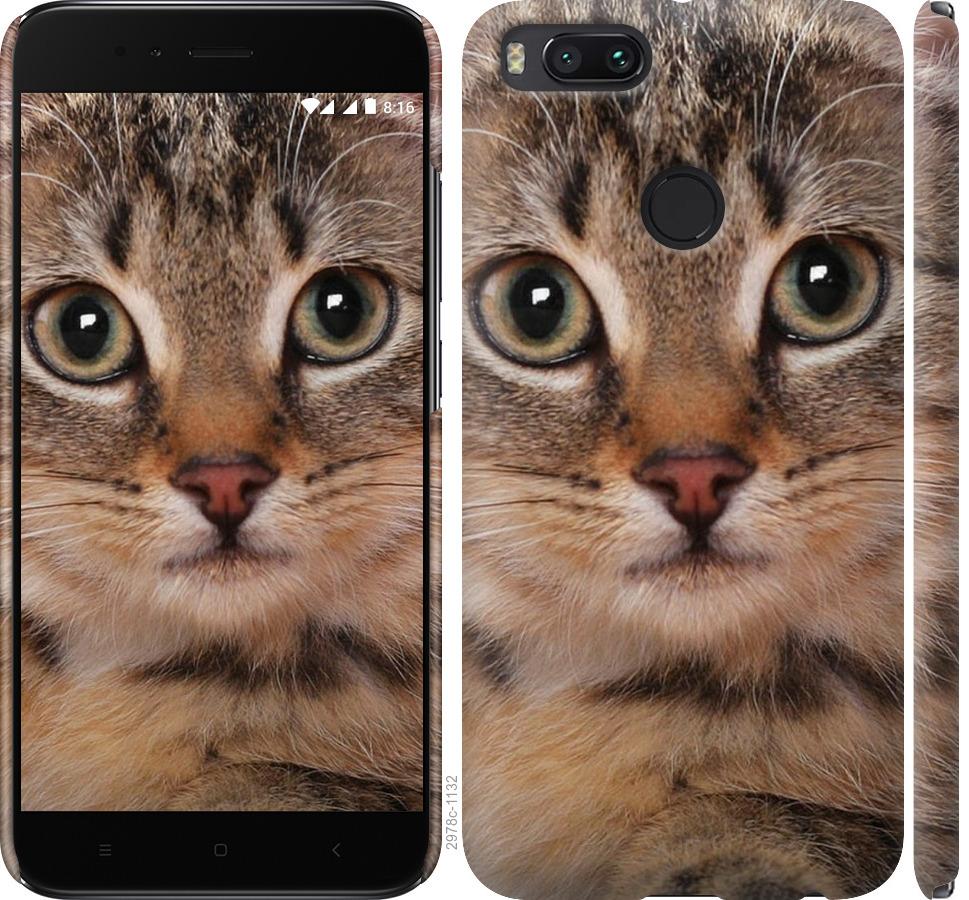 

Чехол на Xiaomi Mi A1 Полосатый котик