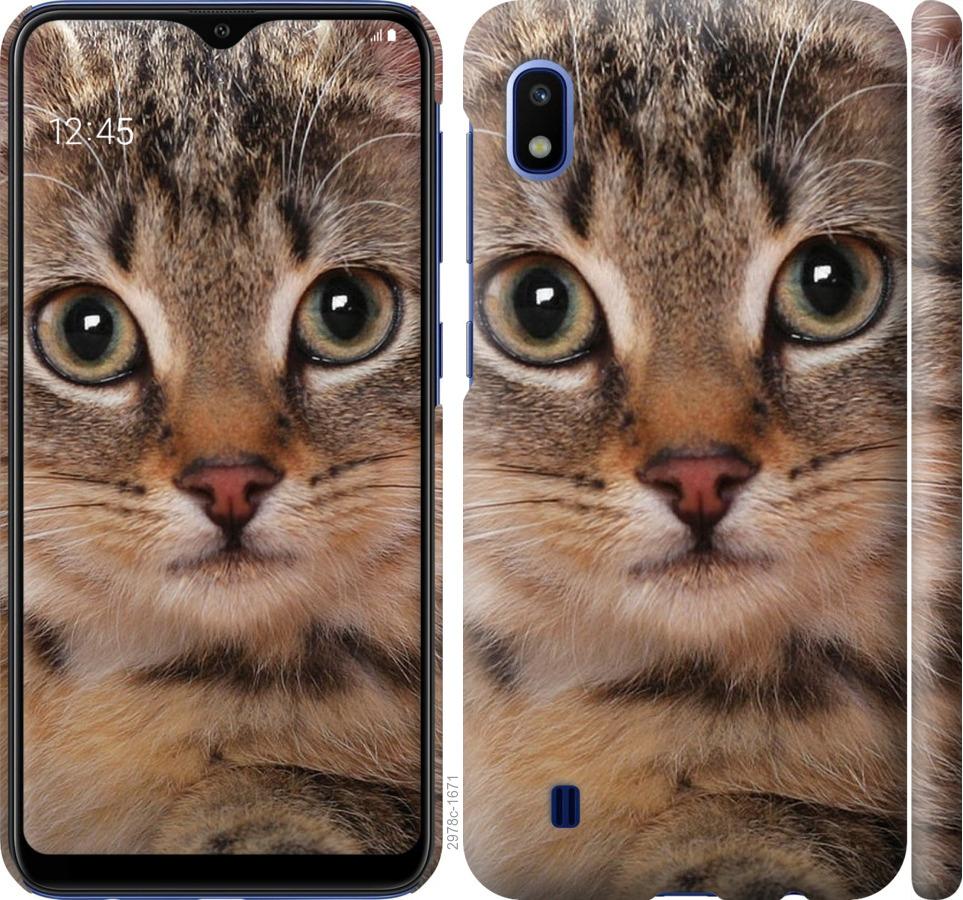 

Чехол на Samsung Galaxy A10 2019 A105F Полосатый котик