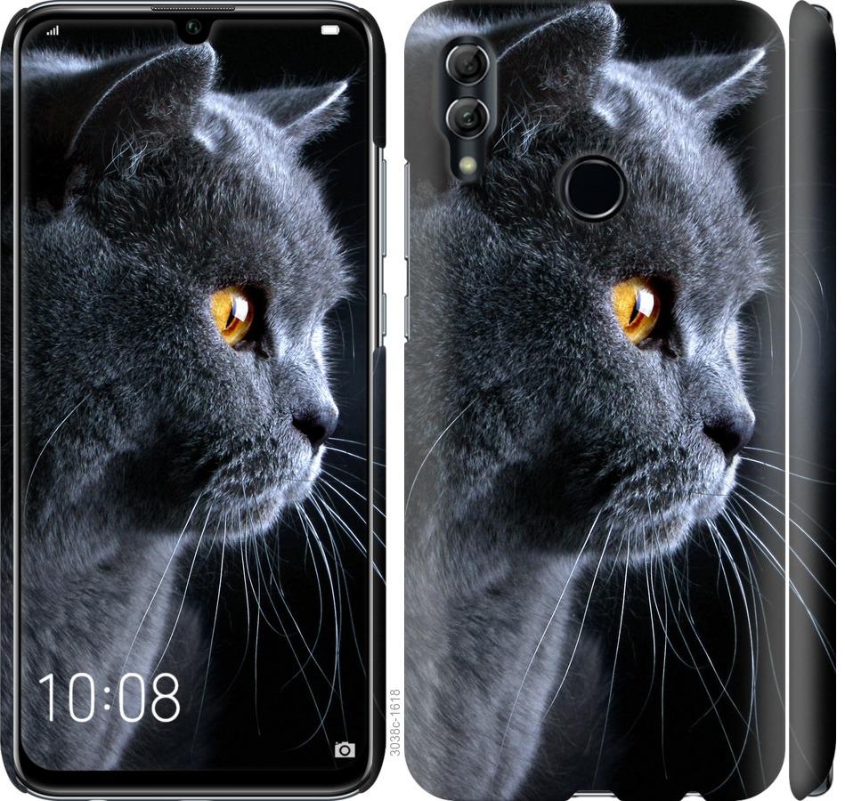 Чехол на Huawei Honor 10 Lite Красивый кот