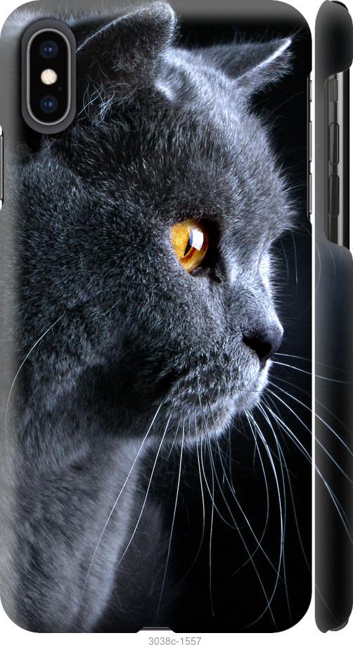

Чохол на iPhone XS Max Гарний кіт