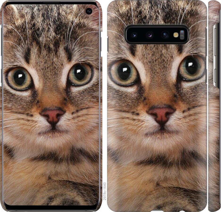 

Чехол на Samsung Galaxy S10 Полосатый котик