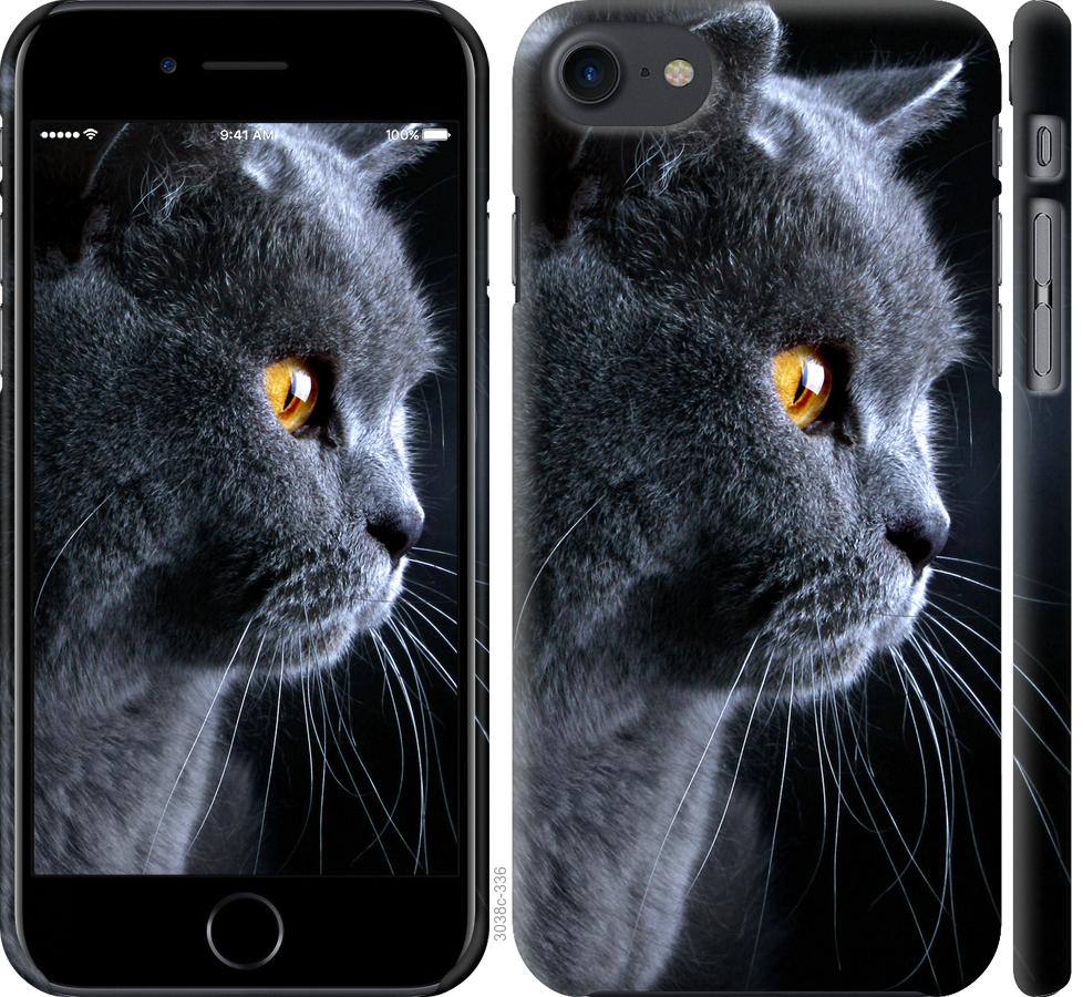 

Чохол на iPhone 7 Гарний кіт