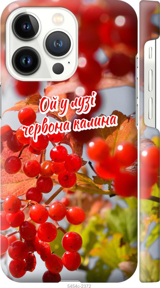

Чехол на iPhone 13 Pro Калина
