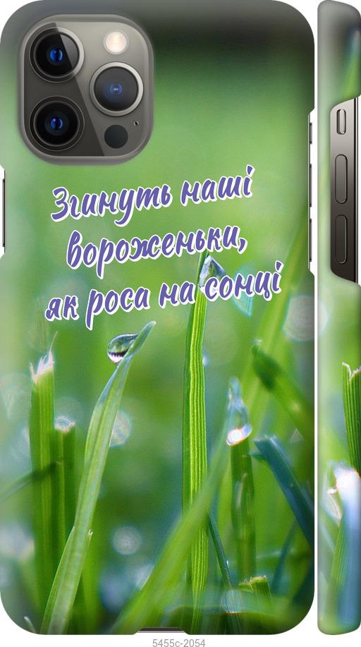 

Чехол на iPhone 12 Pro Max Украина v5