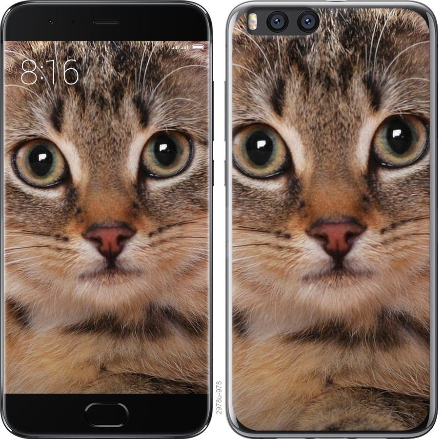 

Чехол на Xiaomi Mi Note 3 Полосатый котик