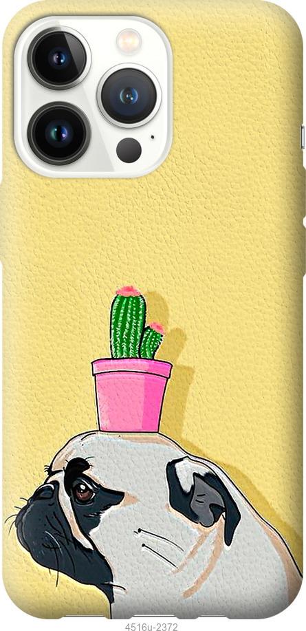 

Чохол на iPhone 13 Pro Мопс з кактусом