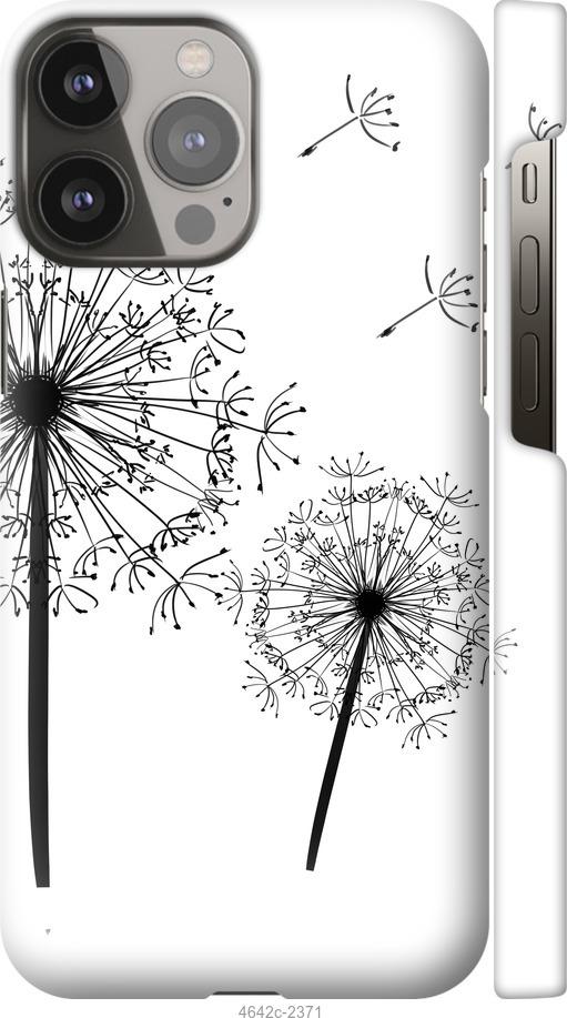 

Чехол на iPhone 13 Pro Max Одуванчики
