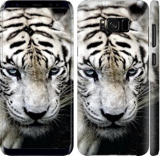 Чехол на Samsung Galaxy S8 Грустный белый тигр