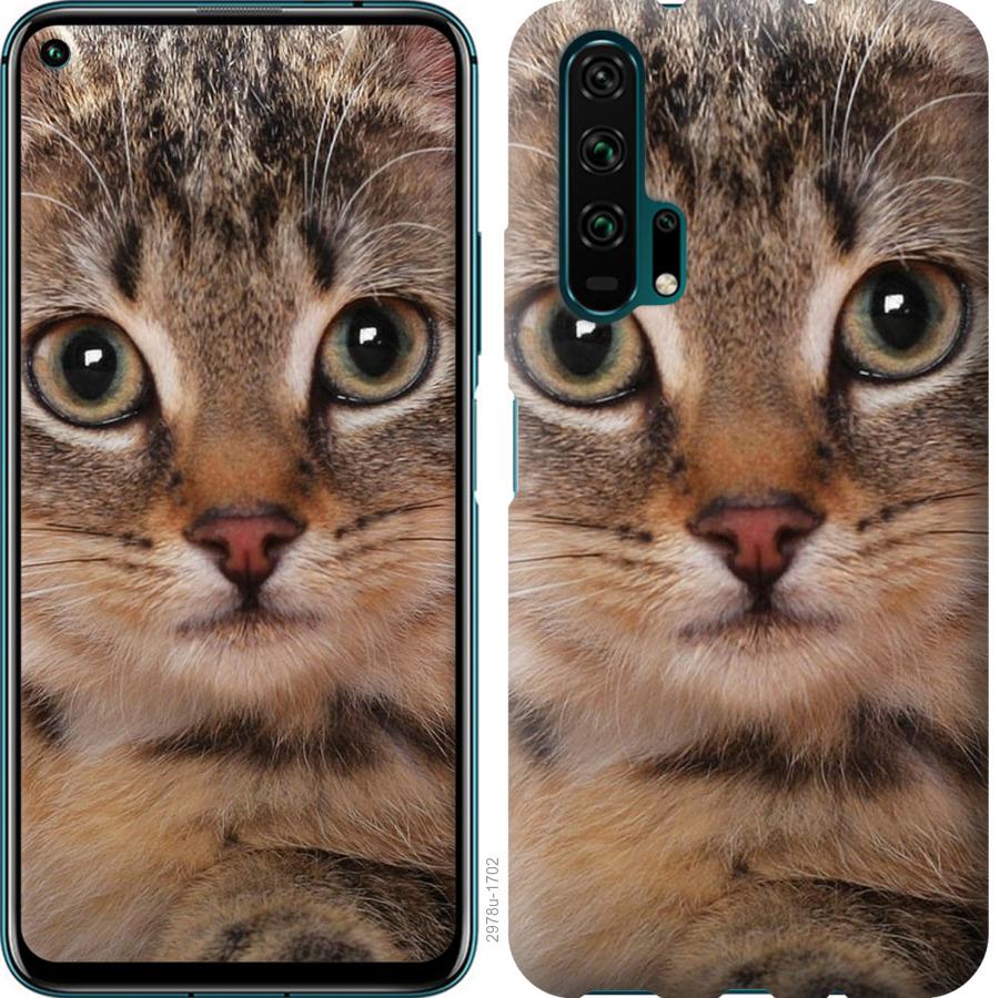 

Чехол на Huawei Honor 20 Pro Полосатый котик