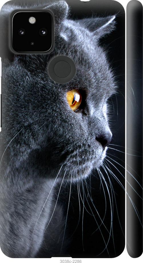 

Чехол на Google Pixel 5A Красивый кот