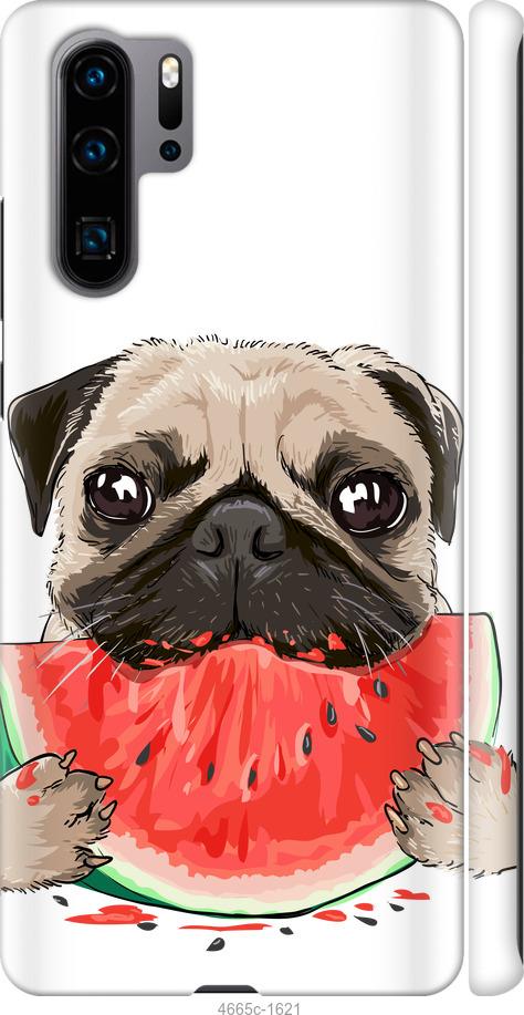 

Чехол на Huawei P30 Pro Мопс и арбуз
