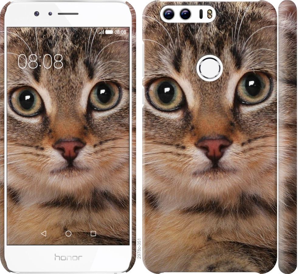 

Чехол на Huawei Honor 8 Полосатый котик