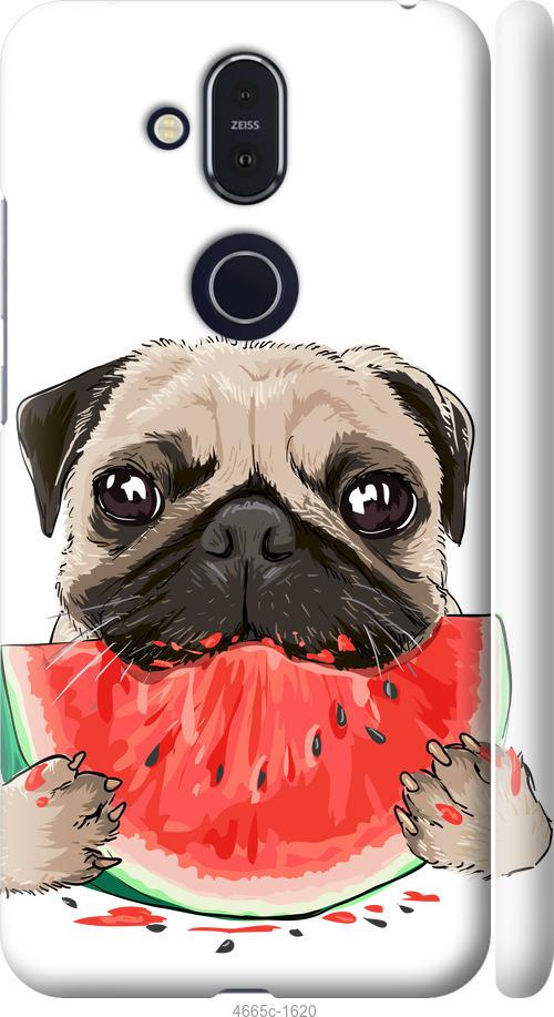 

Чехол на Nokia 8.1 Мопс и арбуз