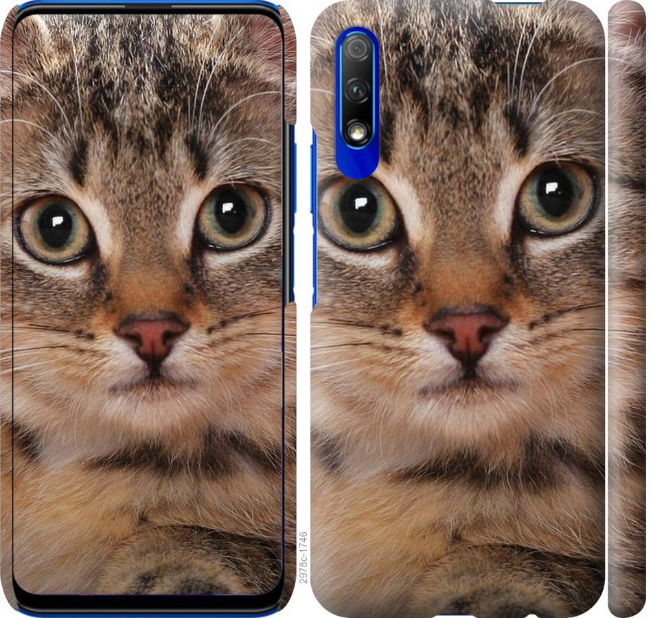 

Чехол на Huawei P Smart Pro Полосатый котик