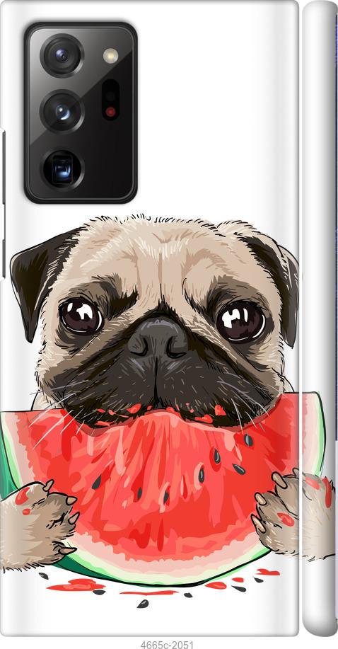 

Чехол на Samsung Galaxy Note 20 Ultra Мопс и арбуз