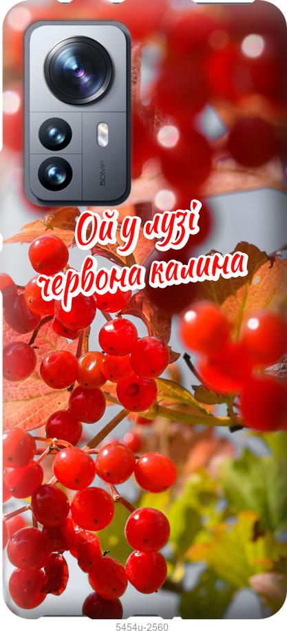 

Чехол на Xiaomi 12 Pro Калина