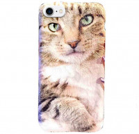 

TPU чехол Мягкие коты для Apple iPhone 7 / 8 (4.7")