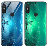 

TPU+Glass чехол светящийся в темноте для Xiaomi Mi 8