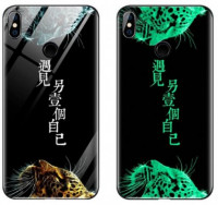 

TPU+Glass чехол светящийся в темноте для Xiaomi Mi 8 SE