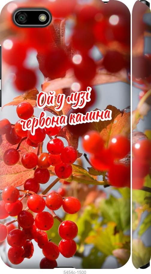 

Чехол на Huawei Y5 2018 Калина