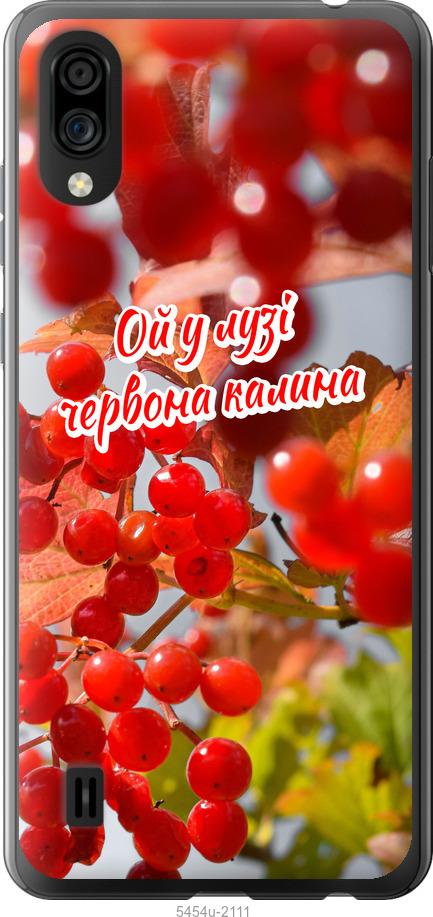 

Чехол на ZTE Blade A5 2020 Калина