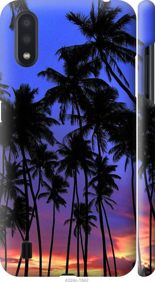 Чехол на Samsung Galaxy A01 A015F Пальмы