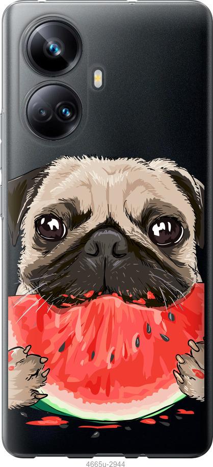 

Чехол на Realme 10 Pro Plus Мопс и арбуз