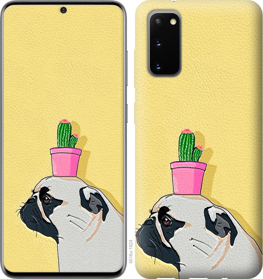 

Чохол на Huawei Honor 30 Мопс з кактусом