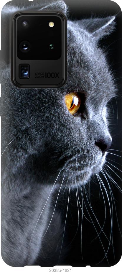 

Чохол на Samsung Galaxy Note 20 Ultra Гарний кіт