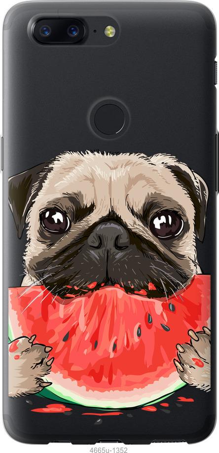 

Чехол на OnePlus 5T Мопс и арбуз