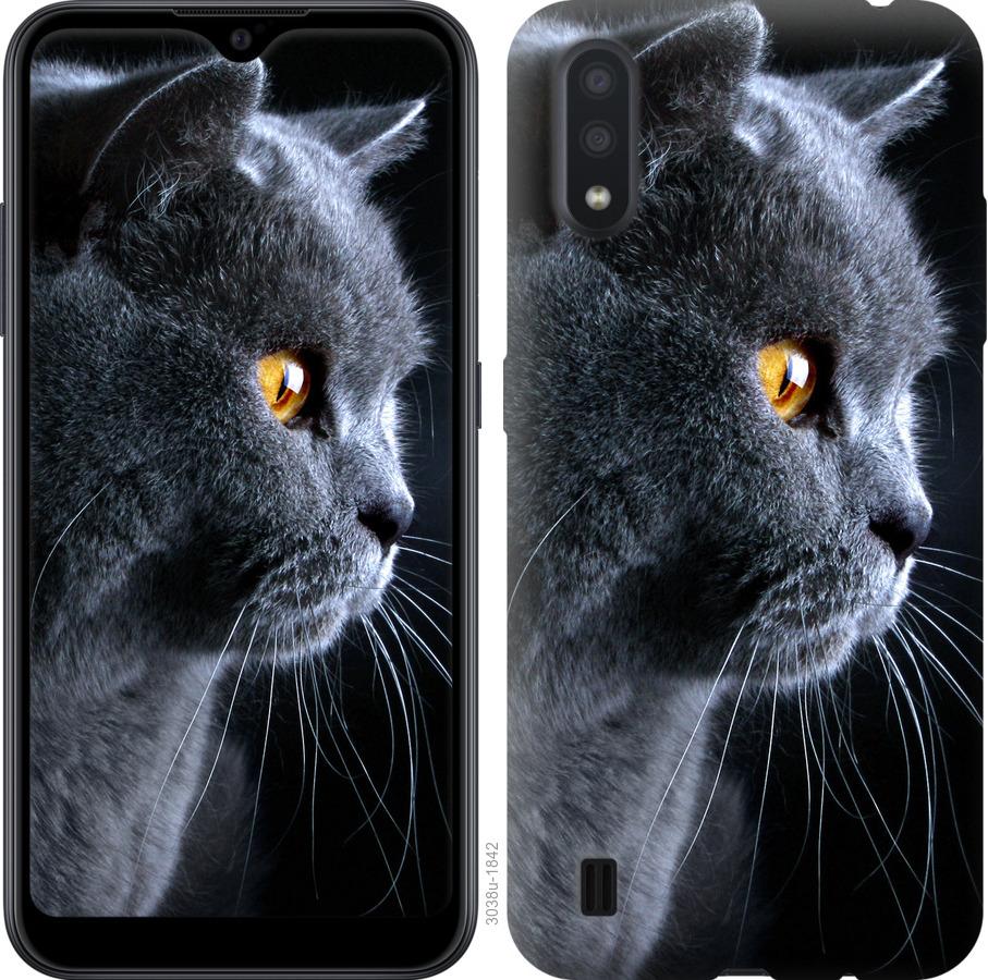

Чохол на Samsung Galaxy A01 A015F Гарний кіт