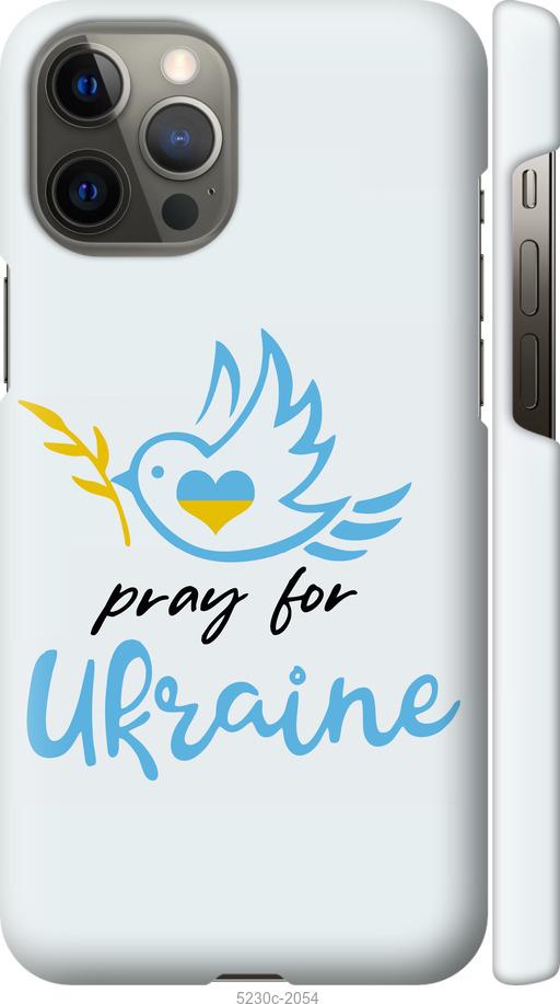 Чехол на iPhone 12 Pro Max Украина v2