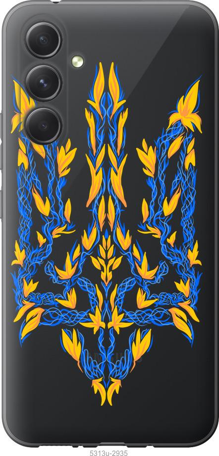 Чехол на Samsung Galaxy A54 A546E Герб Украины v3